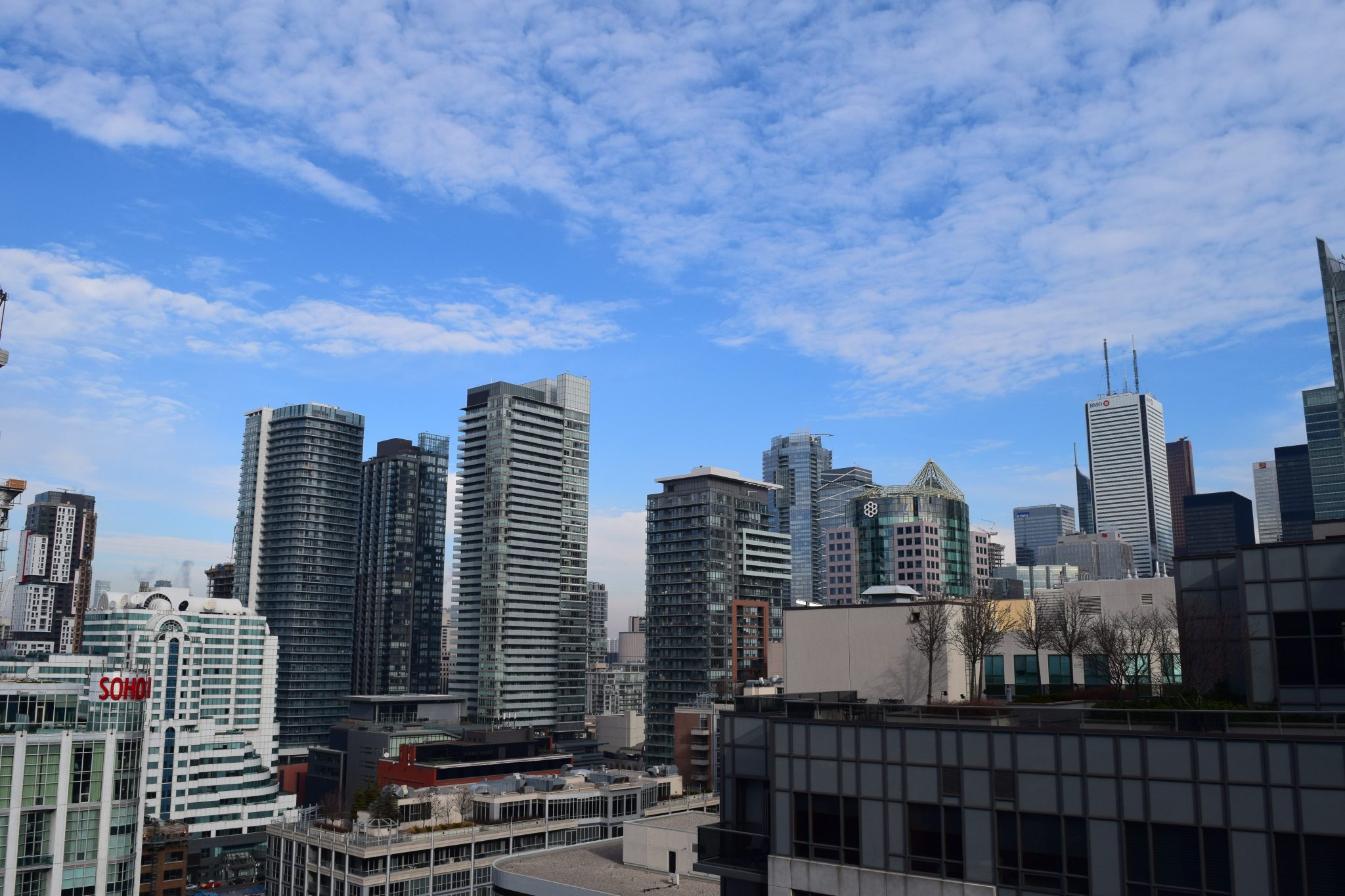 1 Bedroom + Den Condo (Front and Blue Jays)