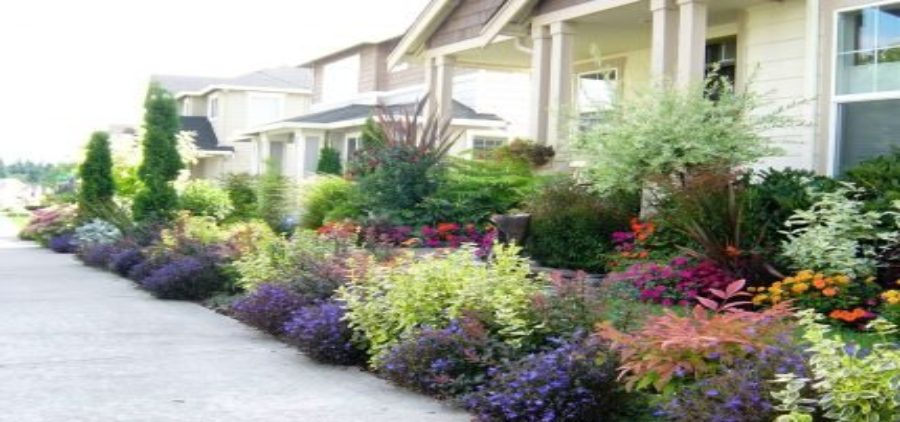 effect of landscaping on property value